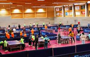 Journée Handiping à la Reine Bestel