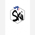 Skia Design