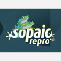 Sopaic