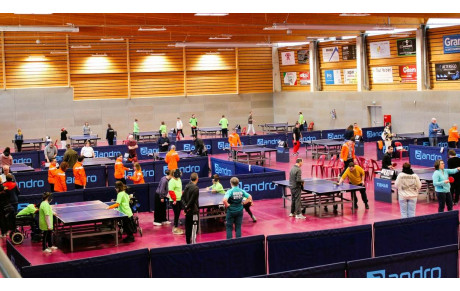 Journée Handiping à la Reine Bestel